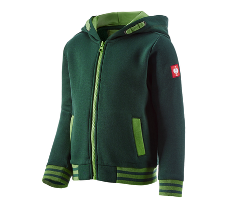 https://cdn.engelbert-strauss.at/assets/sdexporter/images/DetailPageShopify/product/2.Release.3102920/Hoody-Sweatjacke_e_s_motion_2020_Kinder-136226-1-637720665684492075.png