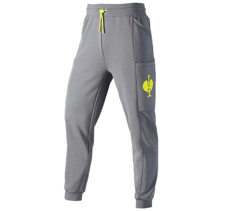 https://cdn.engelbert-strauss.at/assets/sdexporter/images/DetailPageShopify/product/2.Release.3311920/Sweat_Pants_e_s_trail-237009-0-637921075172011401.png